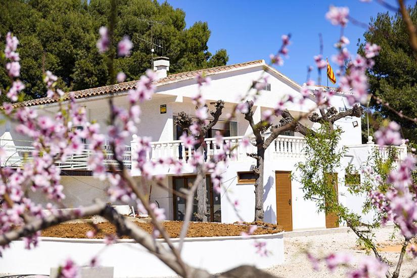 Villa Vintage Les Cases d'Alcanar Exterior photo
